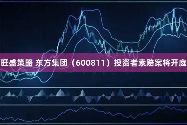 旺盛策略 东方集团（600811）投资者索赔案将开庭
