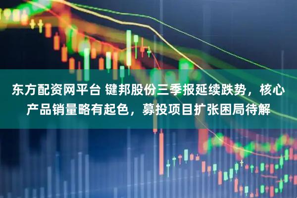 东方配资网平台 键邦股份三季报延续跌势，核心产品销量略有起色，募投项目扩张困局待解