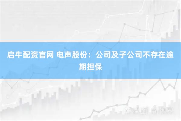 启牛配资官网 电声股份：公司及子公司不存在逾期担保