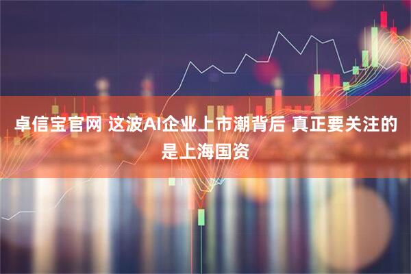 卓信宝官网 这波AI企业上市潮背后 真正要关注的是上海国资