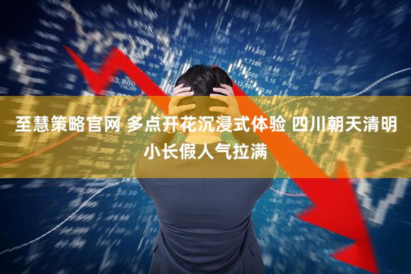 至慧策略官网 多点开花沉浸式体验 四川朝天清明小长假人气拉满