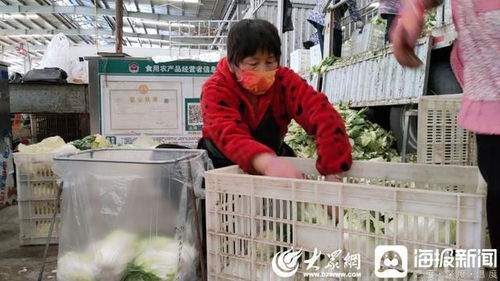 聊城 斷不了菜！記者實地探訪周公河農貿城，日供蔬菜2000噸，新鮮蔬菜零售無憂
