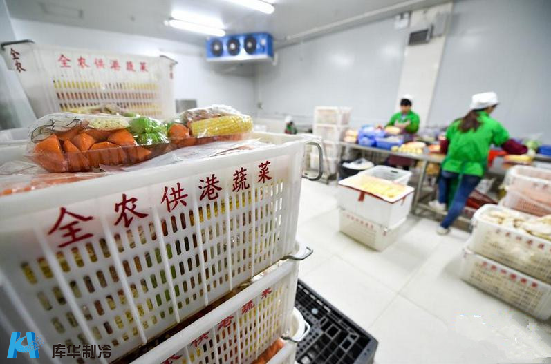 冷鏈先行，鮮達(dá)香江 解碼供港蔬菜85%份額背后的冷庫(kù)工程精髓